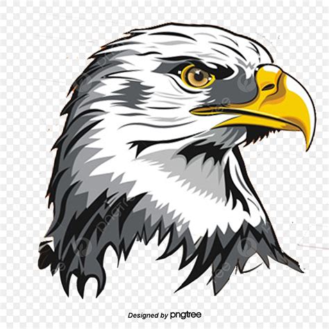 Eagle PNG Image, Eagle, Eagle Vector, Animal, Renderings PNG Image For Free Download