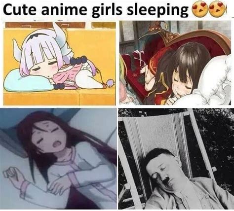 Cute anime girls sleeping | Anime Girls Comparison Parodies | Know Your Meme