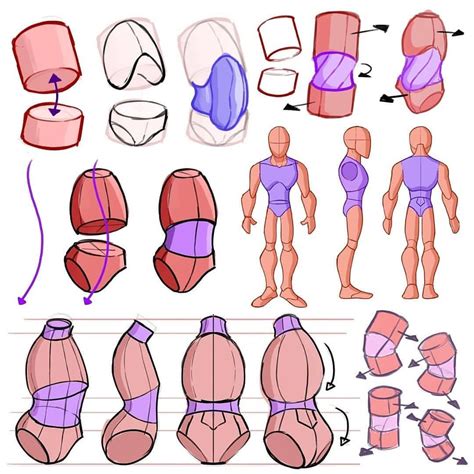 Torso studies/breakdown 😁 #art #drawing #illustration #torso # ...