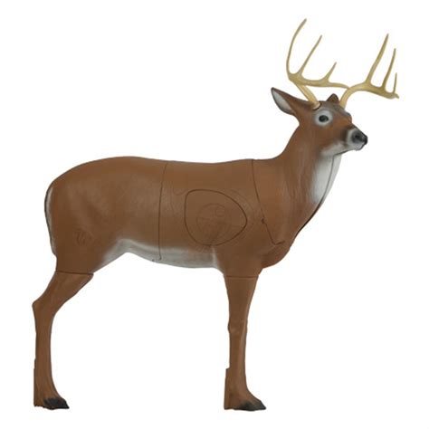 Delta® McKenzie® Pinnacle Extra Large 3D Deer Archery Target - 303803, Archery Targets at ...