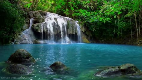 Waterfall Jungle Sounds Relaxing Tropical Rainforest Nature Sound Singing Birds Ambience - YouTube