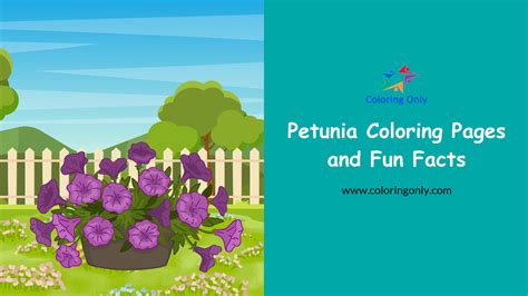 Petunia Coloring Pages and Fun Facts Coloring Page - Free Printable Coloring Pages for Kids