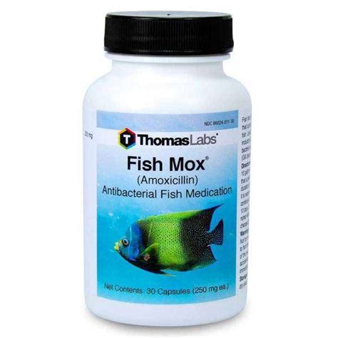 Fish Mox - Amoxicillin Fish Antibiotics in 250 mg and 500 mg – Fish Mox ...