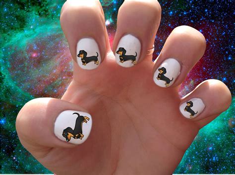 Dachshund // Wiener Dog // Puppy // Cute // Dog // Nail