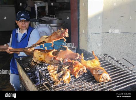 Street food at Banos, Ecuador Roasted Guinea pigs (Cuy) ready to be ...