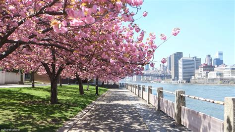 37 Things To Do In NYC During the Spring