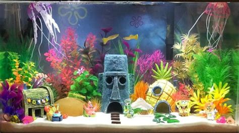 5 Cool Fish Tank Themes That Will Inspire You | BeChewy