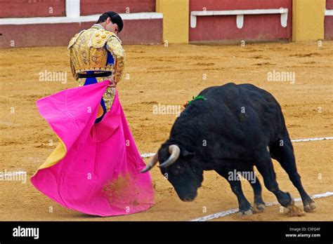 bullfight bullfighter bullring spain torero corrida de toros plaza de ...