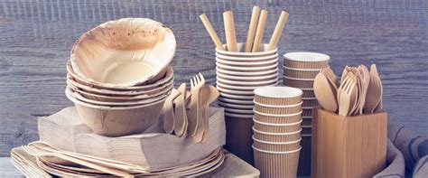 Sustainable alternatives to single-use plastic – ecosistant