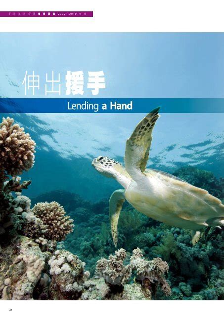 Lending a Hand - é¦ æ¸¯æµ·æ´ å ¬å ä¿ è ²å ºé