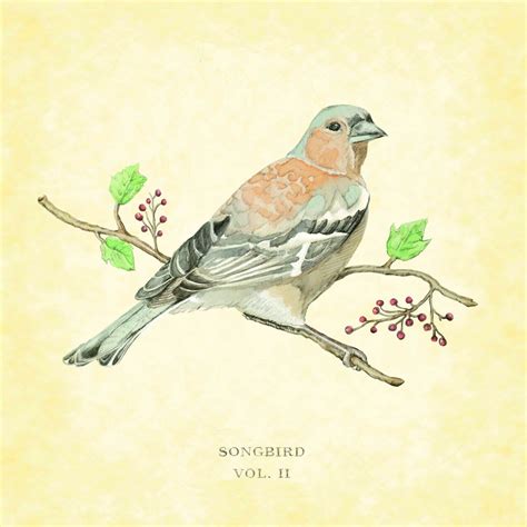 SongBird Vol. II | SongBird