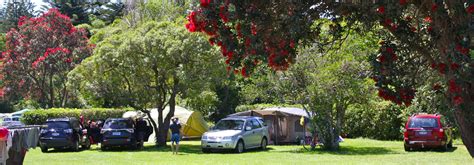 Group bookings Paekakariki Holiday Park, Kapiti Coast