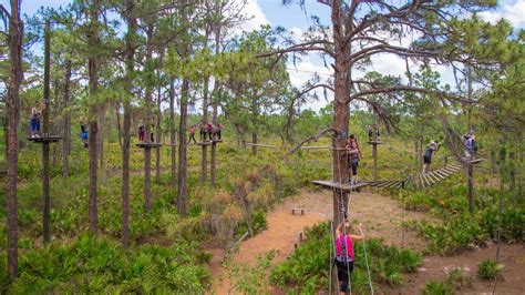 TreeUmph! Adventure Course | 100+ Challenging Obstacles, Ropes, & Ziplines