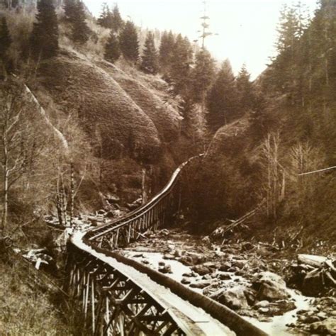 Log flume | Forest scenery, Forest pictures, Garden railroad