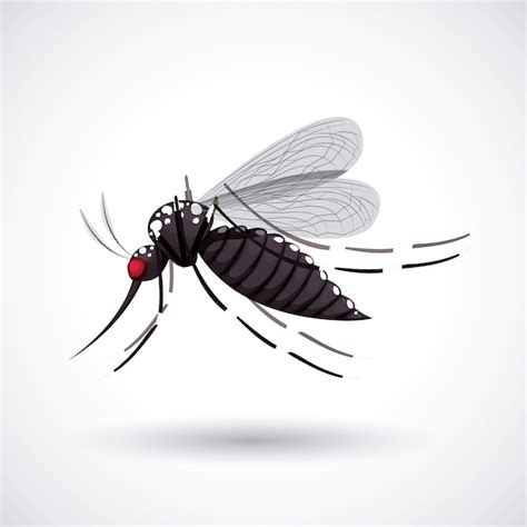 Premium Vector | Infectious gnat design