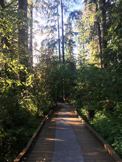 Burnaby's Best Parks: Deer Lake Park - Leanne Perry