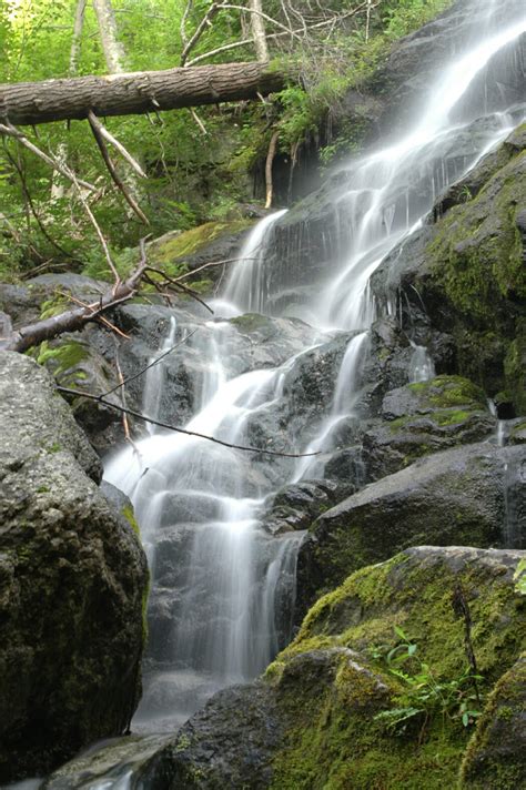 Into the woods: 15 favorite Charlottesville-area hikes, from easy to "ease up!" - C-VILLE ...