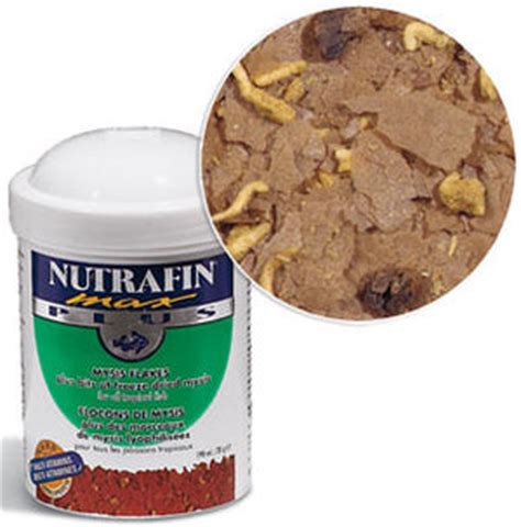 Best Fish Food Brands For Aquarium Fishes