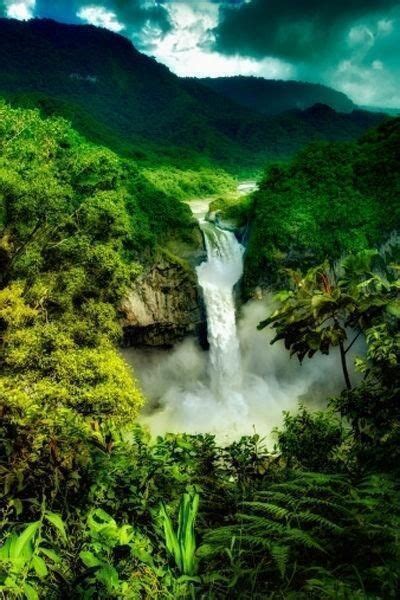 Amazon Rainforest, Brazil | Brazil | Pinterest