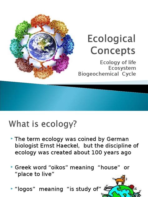 Ecological Concept | Ecology | Ecosystem