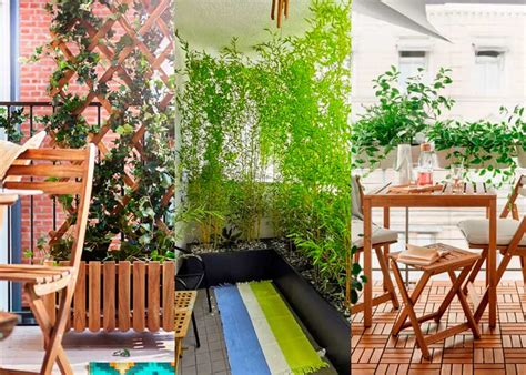 Best Balcony Privacy Plants: 12 Beautiful Ideas to Create a Private ...