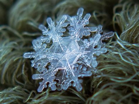 Stunning Macro Details of Uniquely Beautiful Snowflakes With An Inexpensive DIY Camera - Snow ...