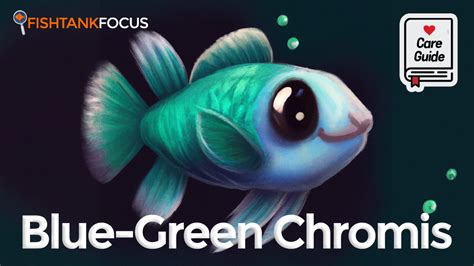 Blue-Green Chromis: A Great Species for Your Marine Aquarium