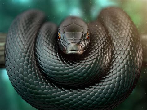 Download Black Mamba Snake On Tree Branch Wallpaper | Wallpapers.com