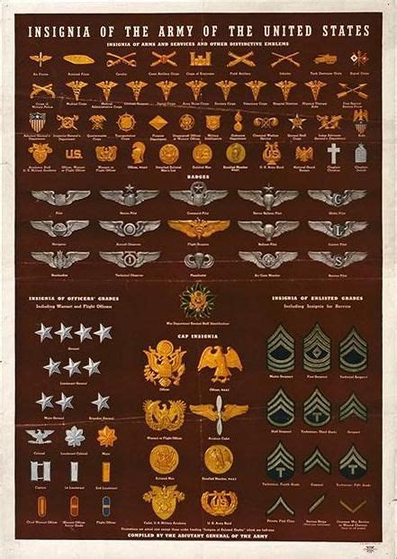 Military Basics and rank and insignia chart | Military insignia ...