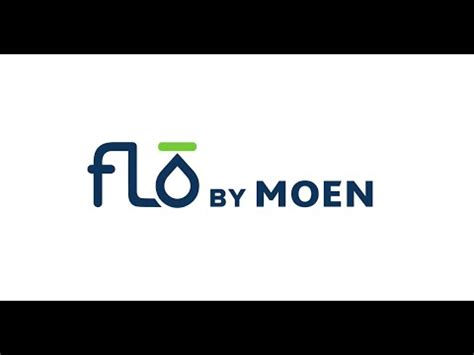 Flo by Moen Smart Water Shutoff Installation - YouTube