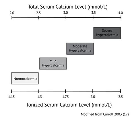 Correcting the Myth of Calcium Correction - This Changed My Practice