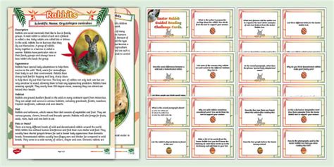 Rabbit Guided Reading Challenge Cards (teacher made)