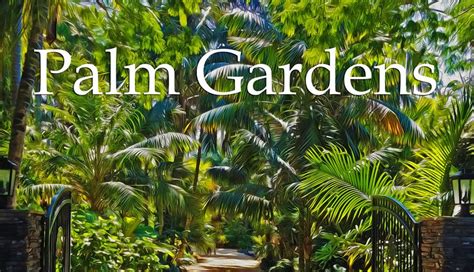 Palm Gardens - Creating a Beautiful Palm Garden