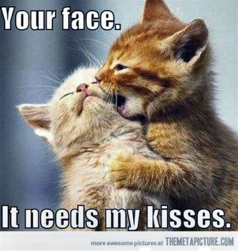 21 Cute Memes That Prove That Kissing Is Great: Mind Your Lips