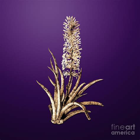 Gold Snake Plant on Royal Purple n.03036 Painting by Holy Rock Design - Fine Art America