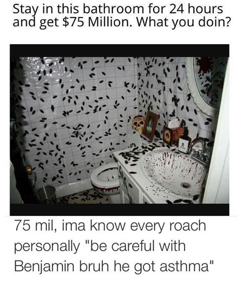 Roach - Meme by shelterthestone :) Memedroid