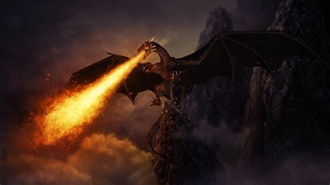 Black Fire Dragon Wallpaper