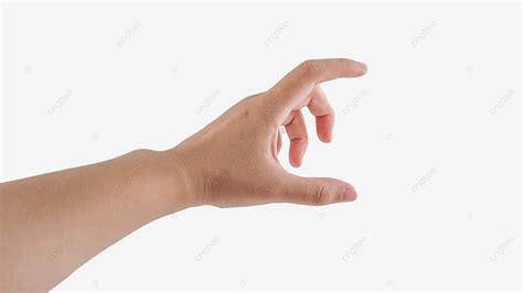 Hand Grasping PNG Transparent, Finger Human Hand Grasp, Hand, Finger ...