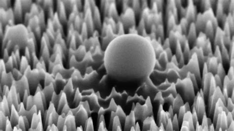 New material neutralizes 96-percent of virus cells using nanospikes | Popular Science