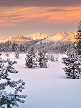 Tahoe Donner Downhill Ski Resort Live Cam, Snow Reports - Ski Cams USA