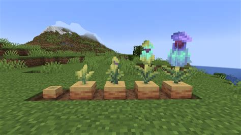 How to Get Torchflower and Pitcher Plant in Minecraft | Beebom