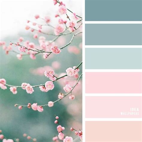 19 The Perfect Pink Color Combinations { Blush + Light blue + Blue ...