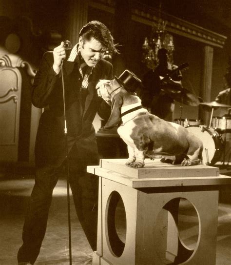 Elvis-TheKingsCourt > 1956 + HOUND DOG ~Song in the Spotlight..Record~Sessions/Wertheimer ...