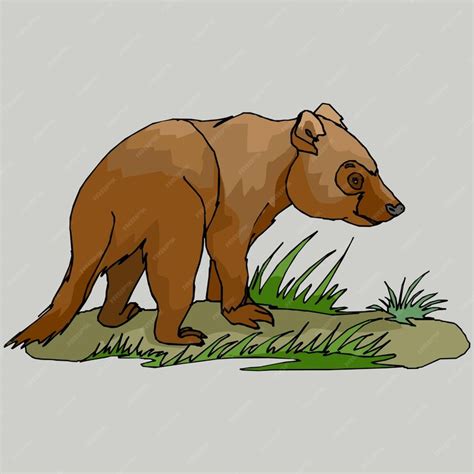 Premium Vector | A drawing of a bear with a black nose and a white outline