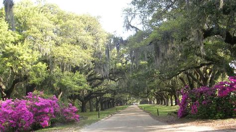 Boone Hall Plantation History: Intriguing and Incredible - Past Lane Travels