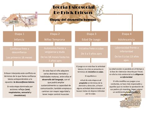 Mapa Conceptual-etapas de desarrollo de la vida humana - La edad ...