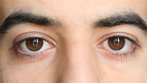 HD: Close Up Of Young Man Eyes Stock Footage Video 1146757 | Shutterstock