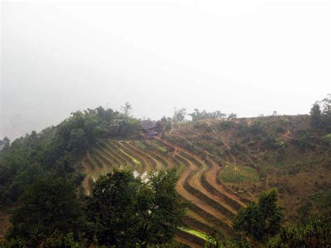 Photo story: Trekking along Sapa rice terraces in winter - The ...