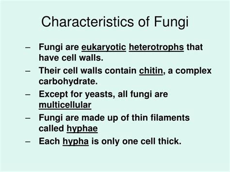 PPT - Kingdom Fungi PowerPoint Presentation - ID:3003677