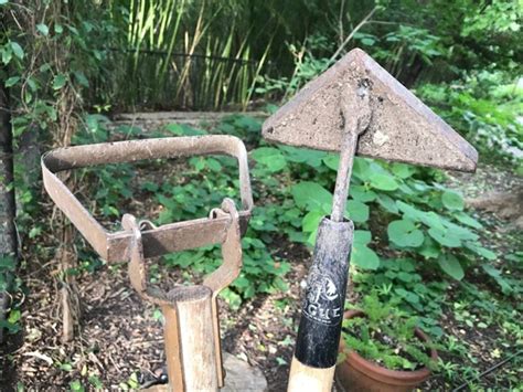 Control weeds the organic way with these easy-to-use tools